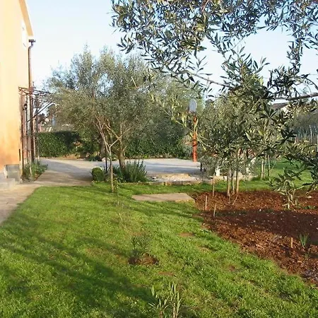 Apartment In Mit Terrasse Und Garten *